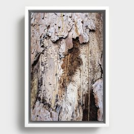 Distressed Wyoming Log Close Up Photo Framed Canvas
