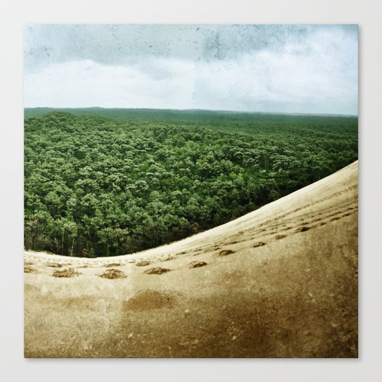 Beyond the Sand Dune Canvas Print