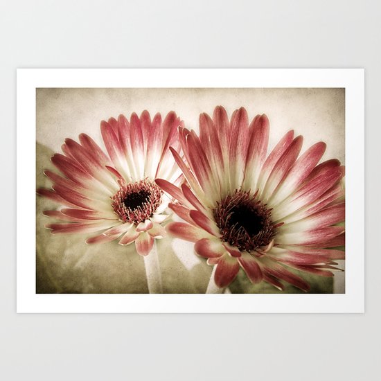 Fading Beauty Art Print