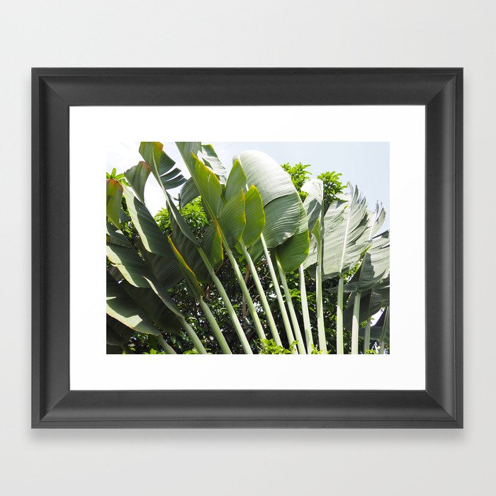 Plant life Framed Art Print