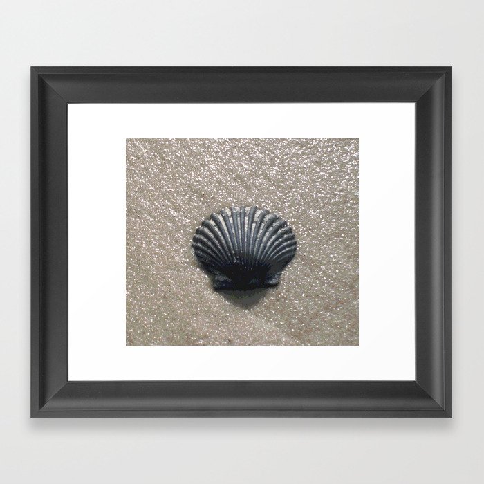 Seashell Framed Art Print