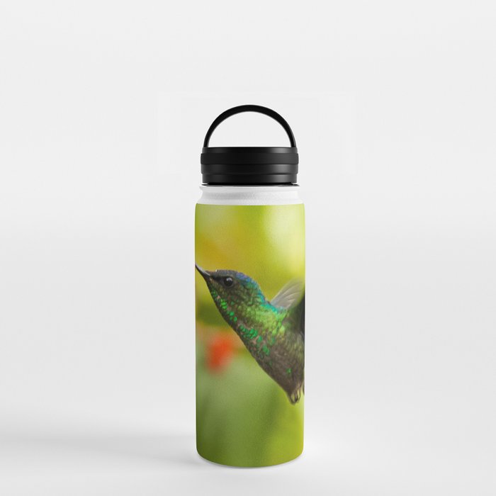 Brazil Photography - A Beautiful Green Humming Bird In Brazil Water Bottle