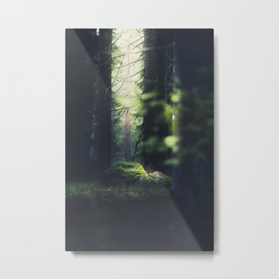 Never trust a fairy Metal Print