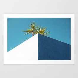 Cactus blue white Art Print