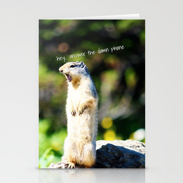 Angry Squirrel Stationery Cards