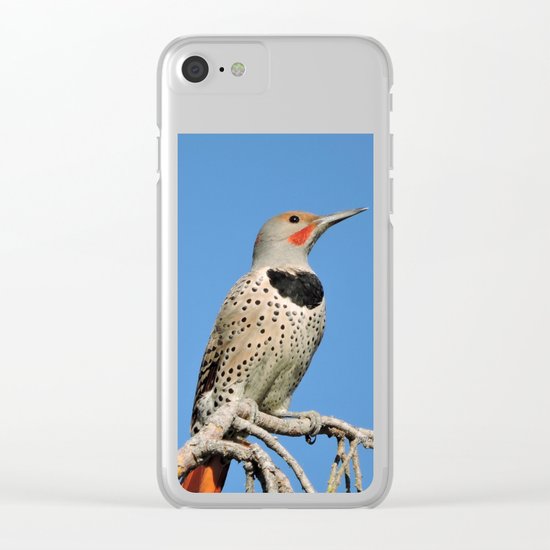 Northern Flicker Clear iPhone Case