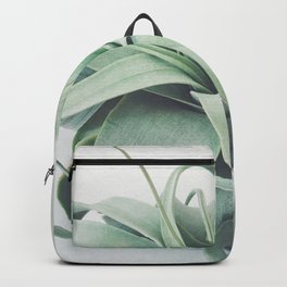 Air Plant III Backpack | Leaf, Plants, Strange, Modern, Lightgreen, Cassiabeck, Curated, Digital, Airplant, Leaves 