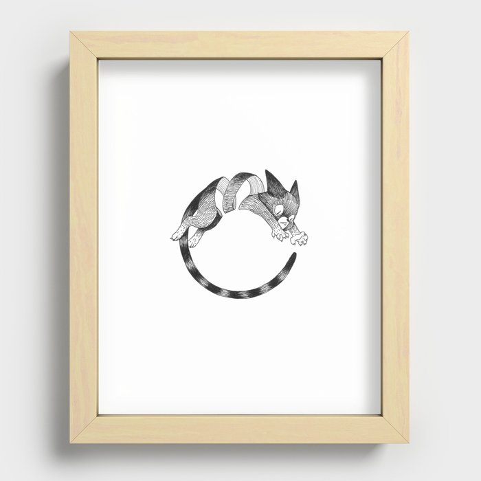 Cat Loop Recessed Framed Print