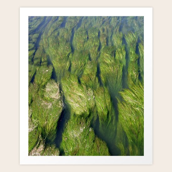 Der fluss Limatt anschauend (Zurich) "GEOROMANTIC" series Art Print