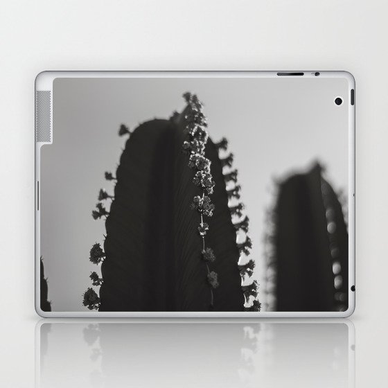 Cactus Photography - Black and White #4 Laptop & iPad Skin