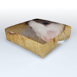 Cute Rat Outdoor Floor Cushion | Fancyrat, Cuterat, Frankiecat, Petrat, Rattusnorvegicus, Photo, Rat, Brownrat, Muridae, Digital 