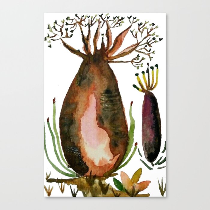 Baobá Canvas Print