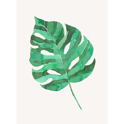 Monstera leaf by RanitasArt Monstera leaf by RanitasArt