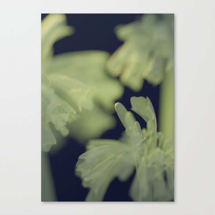 Floral modern moody bell flower art print Canvas Print