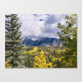 Mountain View Through the Trees - Colorado Canvas Print