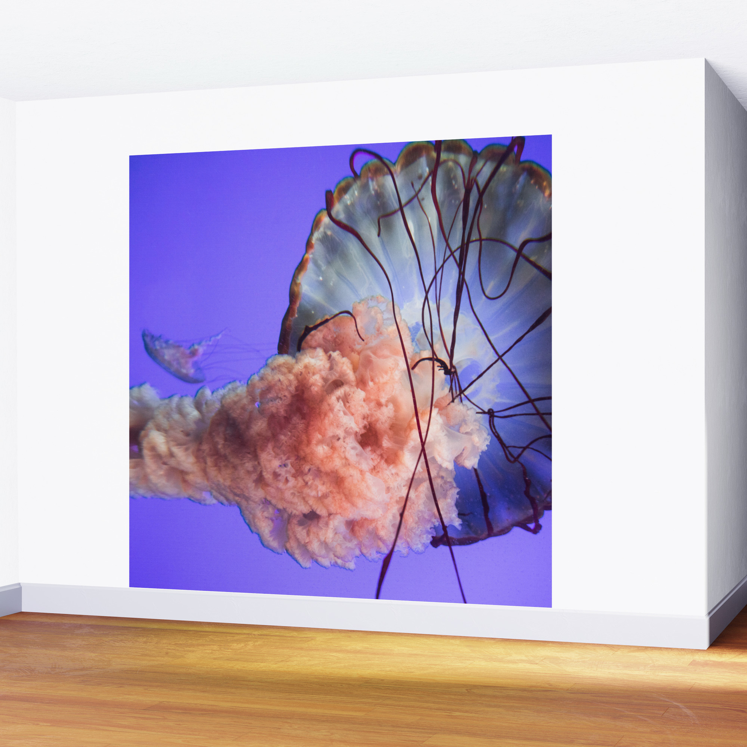Jellyfish Photography Rainbow Colourful Deep Sea Exploration Wall Mural By Wildhood Society6