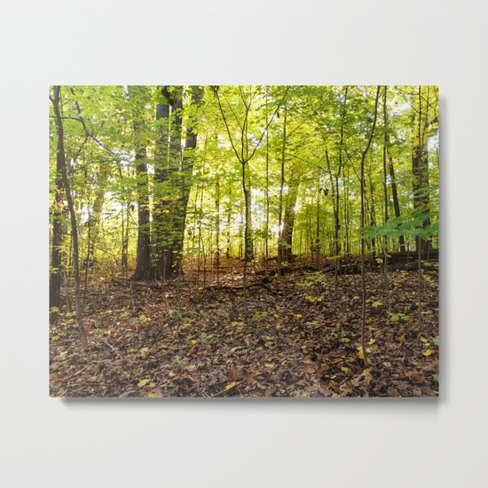 in the forest Metal Print