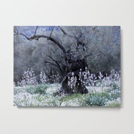 Elysian Fields Metal Print | Landscape, Photo, Nature 