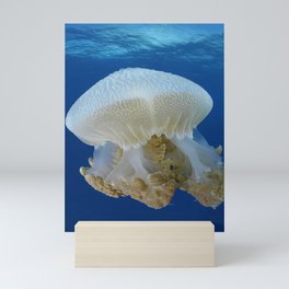 fish Mini Art Print