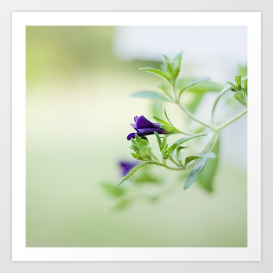 Reach Art Print