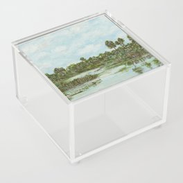 Swamp Acrylic Box