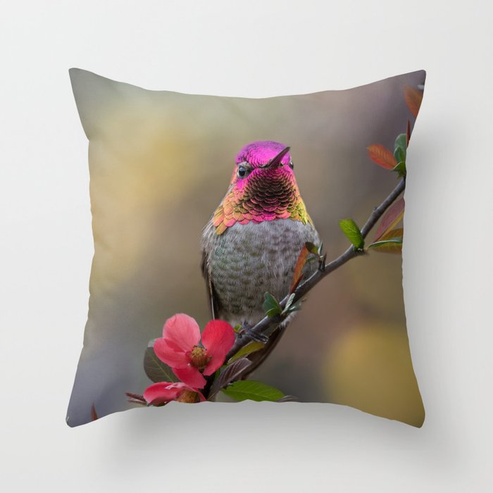 Anna's Hummingbird Springtime blooms Throw Pillow
