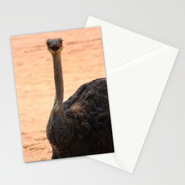 Ostrich Valencia Stationery Cards