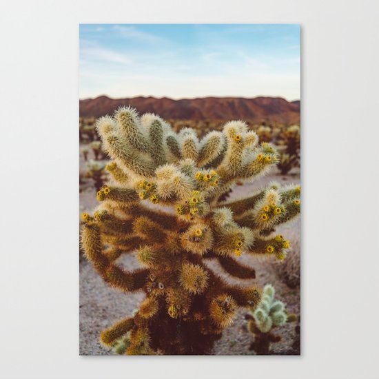 Joshua Tree Sunset Canvas Print