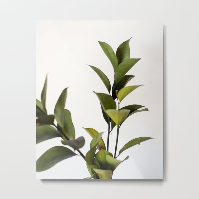 Green Green Leaves Variation | Nature Photography - Plants & Botanicals Metal Print