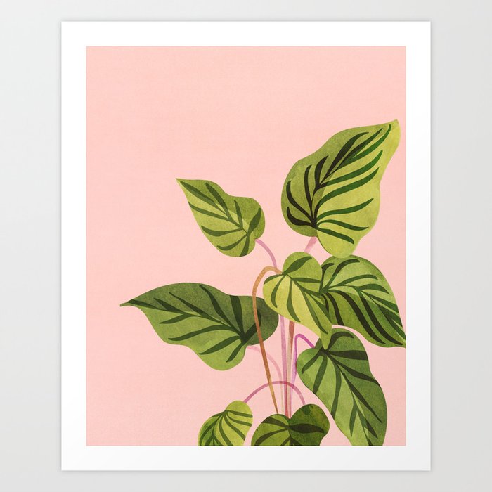 Upstart Pink and Green Houseplant Art Print