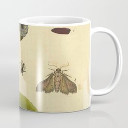 Insect and Flower Print 13, from Albin's Natural History of English Insects (1720) Coffee Mug