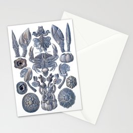 Ernst Haeckel Blue Sky Crab Cirripedia Stationery Card