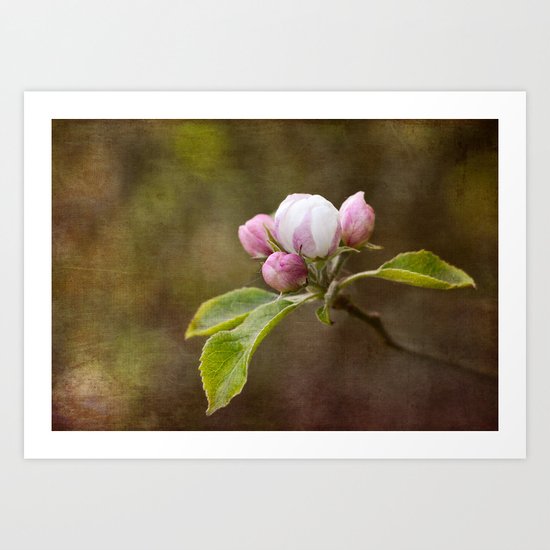 Spring blossom Art Print
