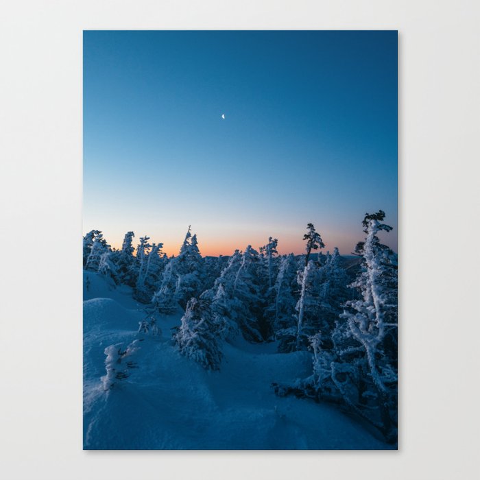 Winter Moon Canvas Print