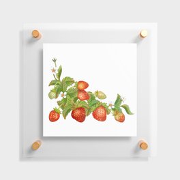 Sweety Strawberries Watercolor Clipart Collection 4 Floating Acrylic Print