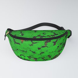 Lucky Fanny Pack