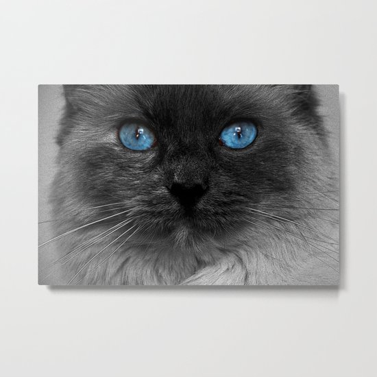 CATTURE Metal Print