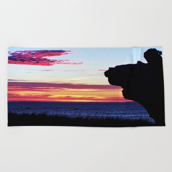 Fire Breathing Dragon Beach Towel