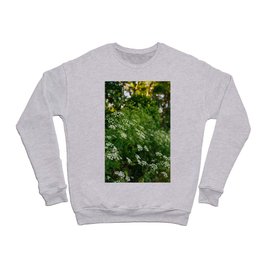 Summer Wildflowers II Crewneck Sweatshirt