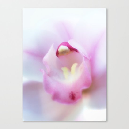 Cymbidium flower 9754 Canvas Print