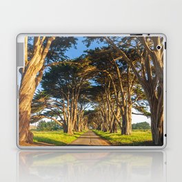 Monterey Cypresses  Laptop Skin