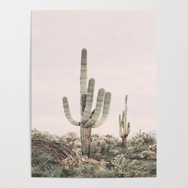 Pastel Pink Cactus Poster