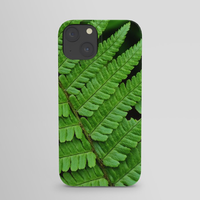 Bright Green Fern in the Forest iPhone Case