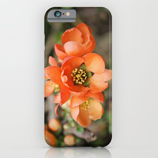 Orange Blossoms iPhone & iPod Case