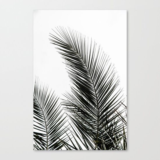 Palm Leaves Canvas Print