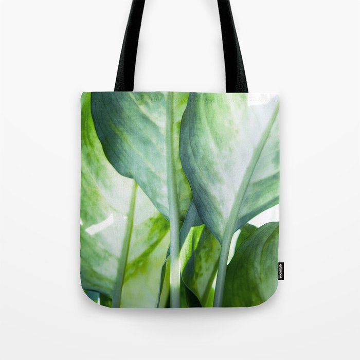 exotic green leaves Tote Bag