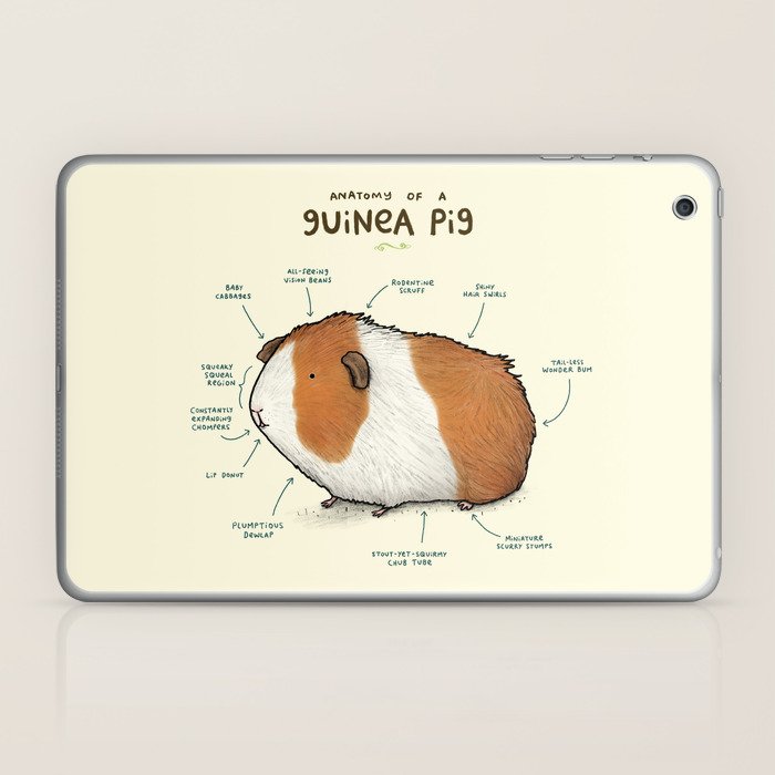 electronic guinea pig