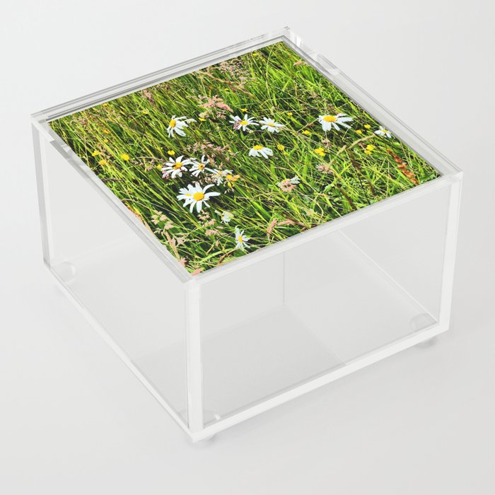 Scottish Highlands Summer Wild Flowers with Dew Drops in I Art Acrylic Box