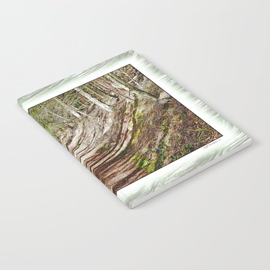 FOREST OF PARALLEL SHADOWS Notebook