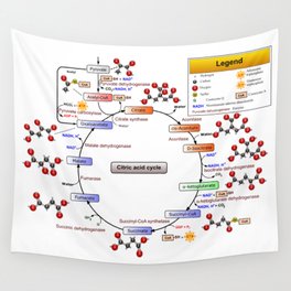 Citric Acid Cycle, TCA Cycle, Krebs Cycle Diagram Wall Tapestry